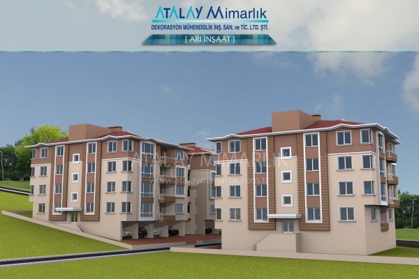 Arı-İnşaat-3