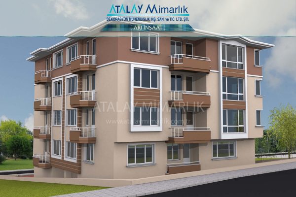 Arı-İnşaat-5